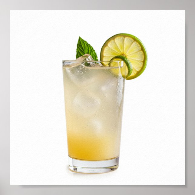 Gin Fizz Recipe Poster (Vorne)