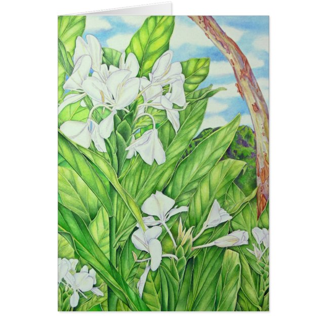 Gingembre de blanc de Tantalus (Devant)