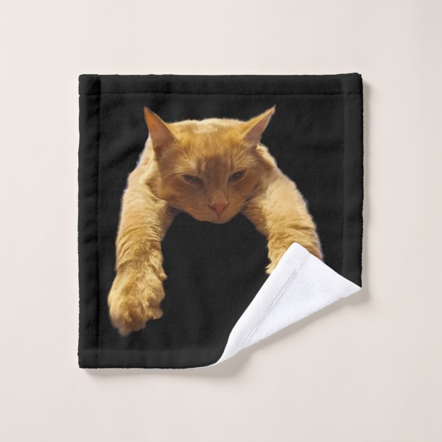 Gingembre Lazy Chat, Laver le linge (Gant de toilette)