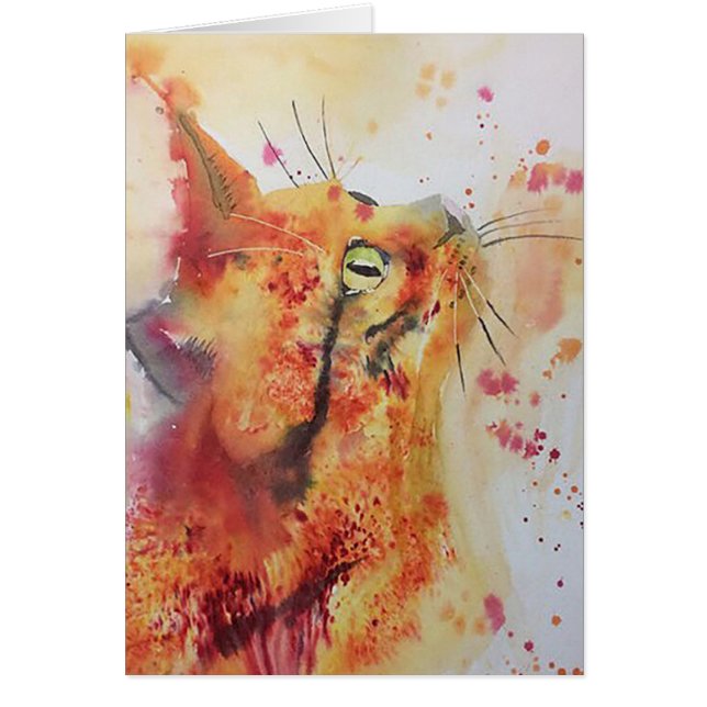 gingembre Tom (Devant)