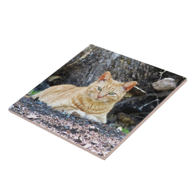 Ginger Boy Fliese (Seite)