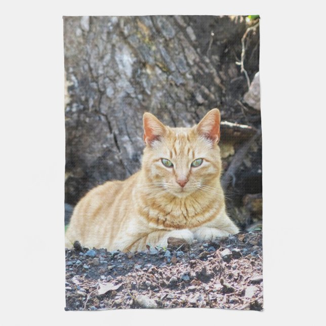 Ginger Boy Geschirrtuch (Vertikal)