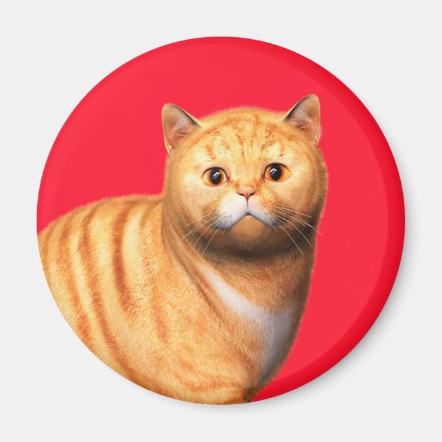 Ginger Cat 3 Magnet (Devant)