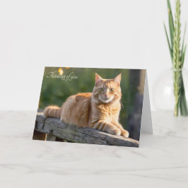 Ginger Cat auf einem rustikalen Zaun Karte