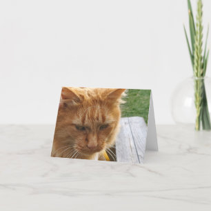 Ginger Cat Dankeskarte