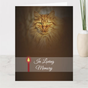 Ginger Cat Foto Rote Kerze Personalisiere Karte