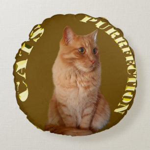 Ginger Cat Gold Coin, Round Cushit Rundes Kissen