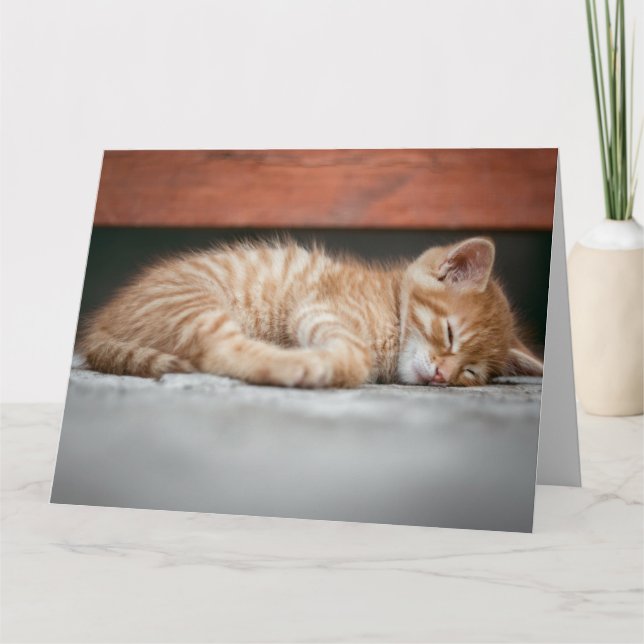 GINGER CAT KITTEN DORMIR ANNIVERSAIRE CARTE DE REC (Devant)