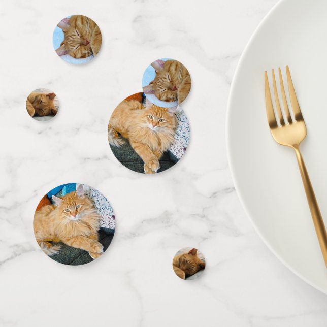 Ginger Cat Konfetti (Gruppe)