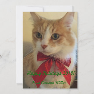Ginger Cat mit Red Ribbon Weihnachten