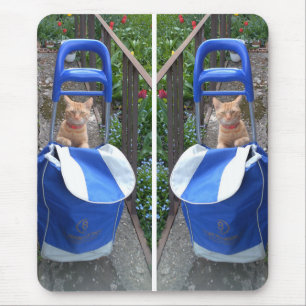 Ginger Cat Mousepad