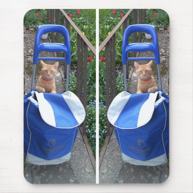Ginger Cat Mousepad (Vorne)