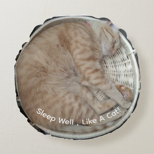 Ginger Cat Round Pouf Rundes Kissen (Vorderseite)