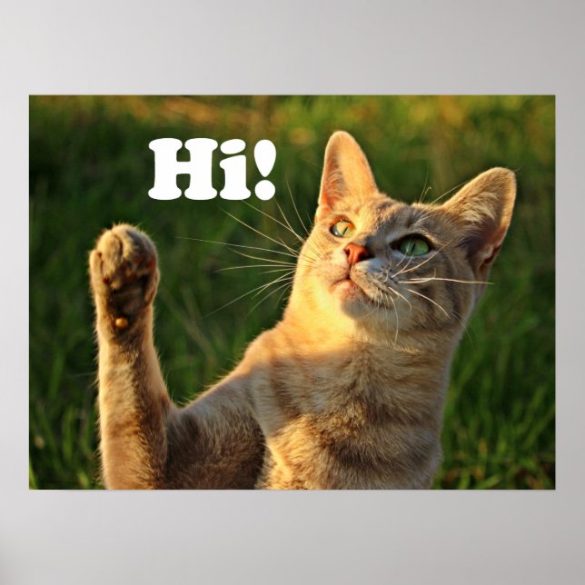 Ginger Cat Saying Hi! Poster (Vorne)