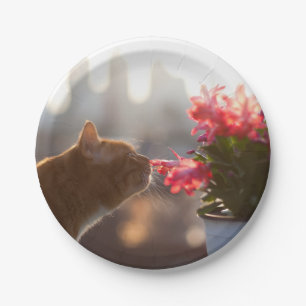 Ginger Cat Sniffing a Red Blume Pappteller
