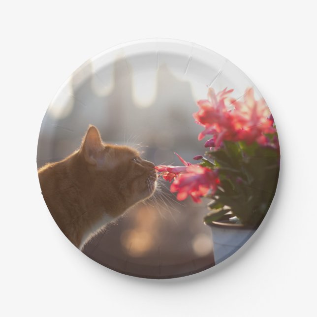 Ginger Cat Sniffing a Red Blume Pappteller (Vorderseite)