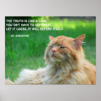 Ginger Cat St. Augustine Wahrheit Zitat