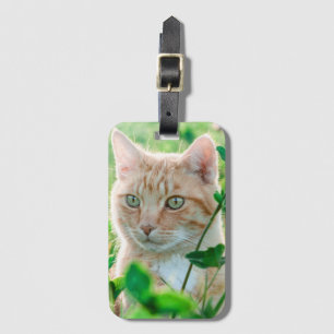 Ginger Cat with Green Eyes in Grass Gepäckanhänger