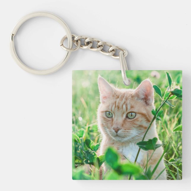 Ginger Cat with Green Eyes in Grass Schlüsselanhänger (Vorderseite)