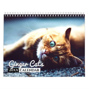 Ginger Cats 2022 Foto Wall Calendar Kalender