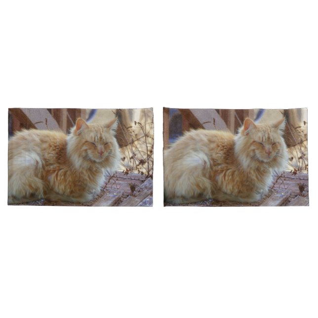 Ginger George Kissenbezug (Rückseite-Set)