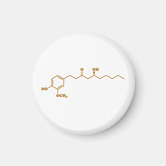 Ginger Gingerol Molecule Chemische Formel Magnet (Vorne)