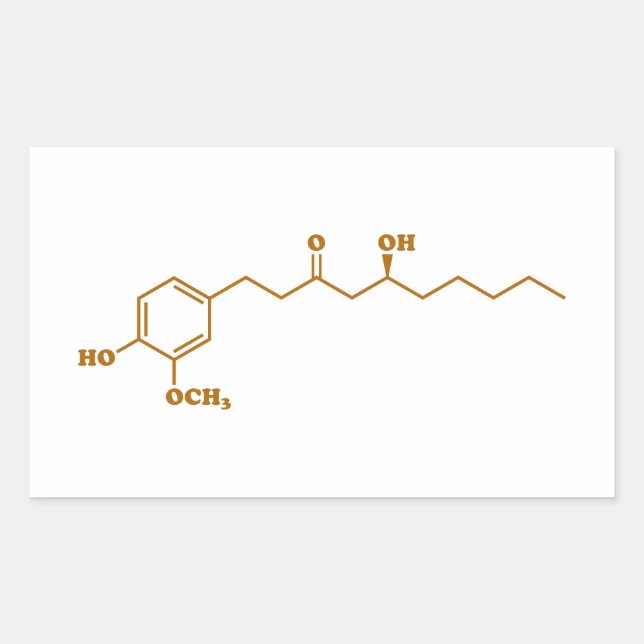 Ginger Gingerol Molecule Chemische Formel Rechteckiger Aufkleber (Vorderseite)