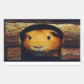 Ginger Guinea Pig Geschenke Rechteckiger Aufkleber