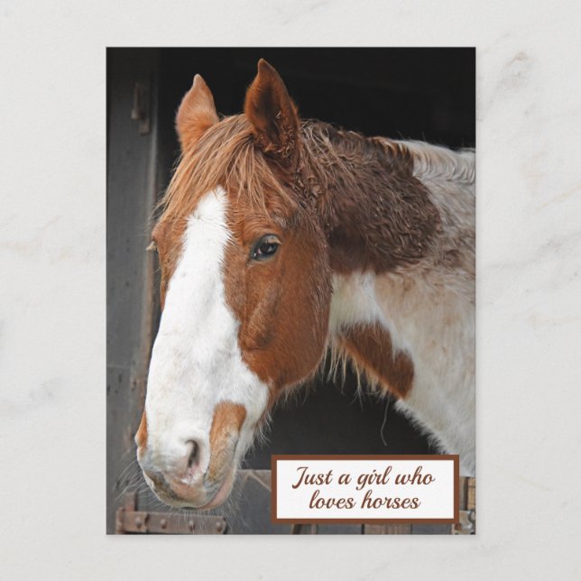 Ginger Horst on Farm Nur ein Mädchen, das Pferde L Postkarte (Vorderseite)