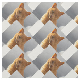 Ginger-Katze Merlin Stoff