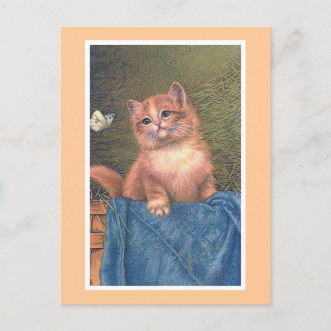 "Ginger Kitten and Butterfly" Vintag Postkarte (Vorderseite)