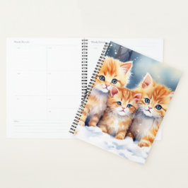 Ginger Kittens