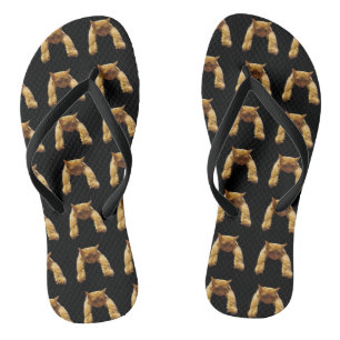 Ginger Lazy Cat, Flip Flops