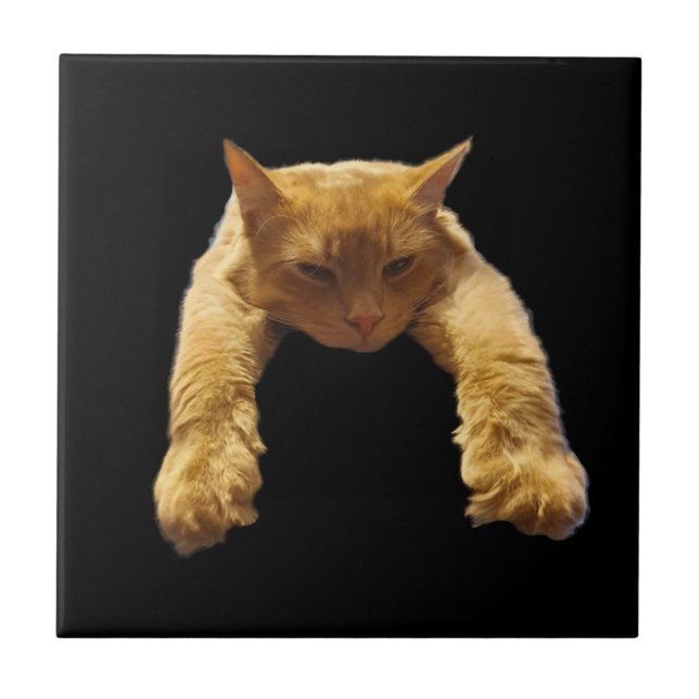 Ginger Lazy Cat, Keramik Tile Fliese (Vorderseite)