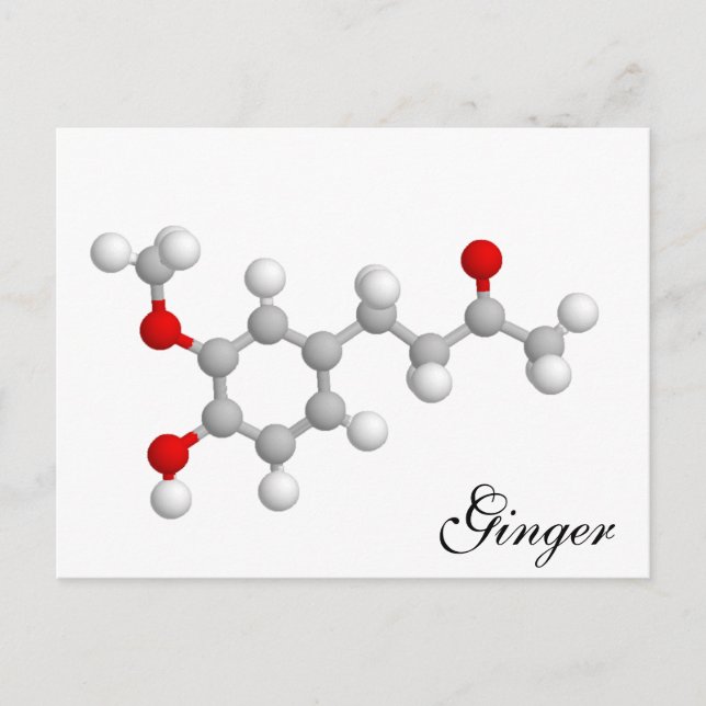 Ginger Postkarte (Vorderseite)