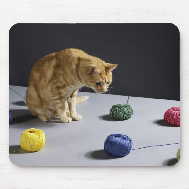 Ginger Tabby Katze sitzend auf Tisch Mousepad (Vorne)