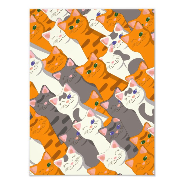 Ginger Weiße Katze Diagonalmuster Fotodruck (Vorne)