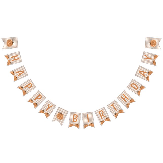 Gingham Little Pumpkin Geburtstagsbanner Schild (Alle)