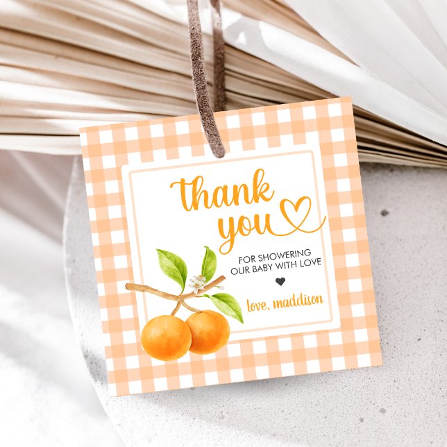Gingham Orange Baby Shower Geschenkanhänger (Little Cutie Orange Baby Shower Favor Tags)