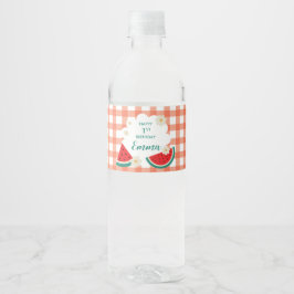 Gingham Watermelon Bottle Wrappers