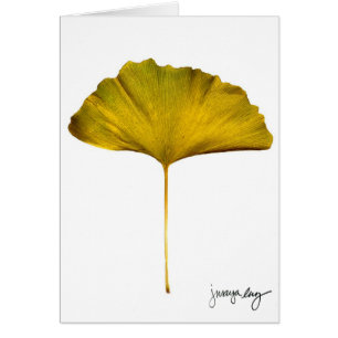 "Gingko" durch J. Maya Luz