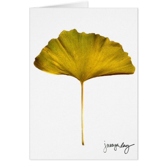 "Gingko" durch J. Maya Luz (Vorne)