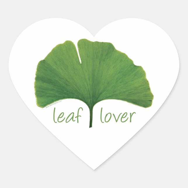 Gingko Leaf Herz-Aufkleber (Vorderseite)