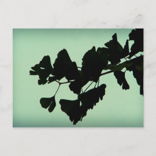 Gingko Postkarte