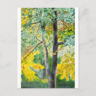 Gingko Postkarte
