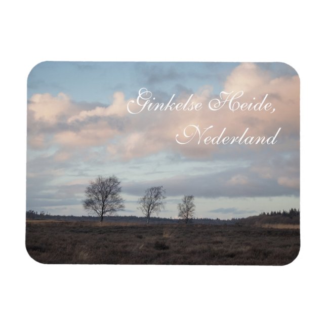 Ginkel Heath, Ede, Niederlande Landschaft Magnet (Horizontal)