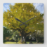 Ginkgo-Baum von Golden Yellow