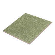 Ginkgo-Biloba-Blätter auf Sage Green