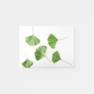 Ginkgo Biloba Leaf gegen weißen Hintergrund Post-it Klebezettel