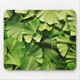Ginkgo biloba mousepad